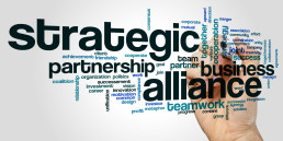 RAMY AYOUB TALKING ABOUT Establishing Strategic Partnerships 2